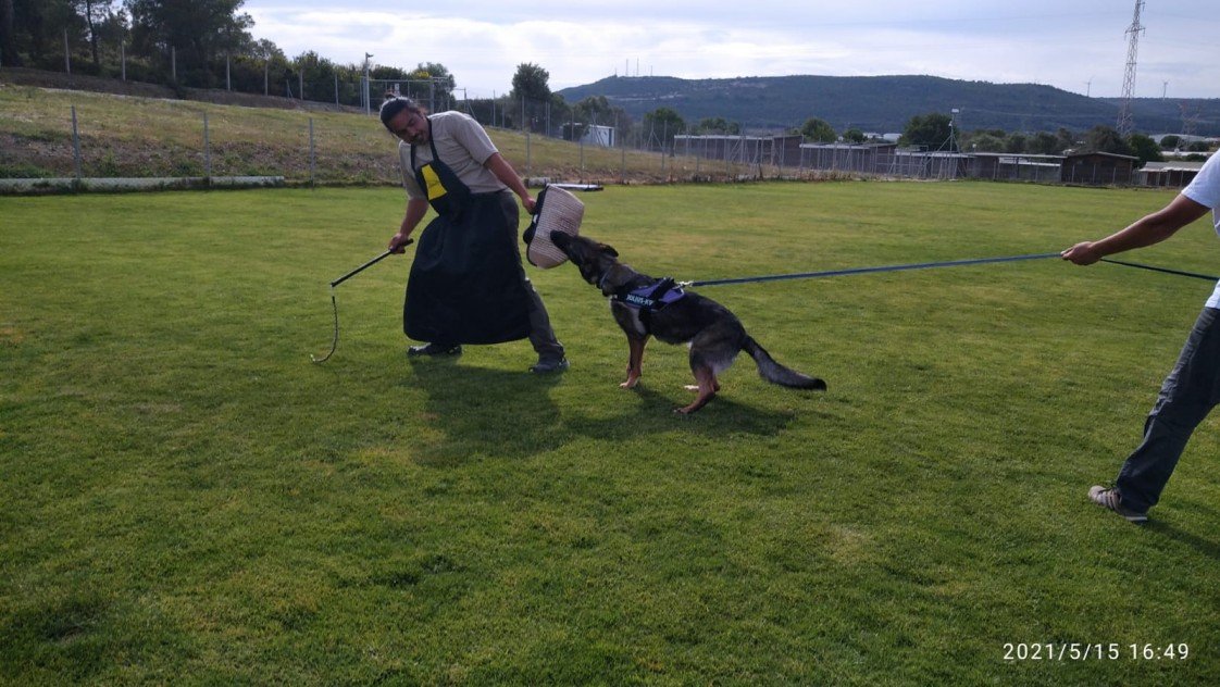 Grande Sole Dog Resort