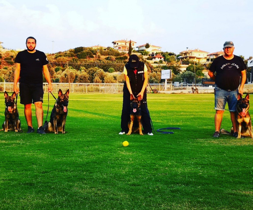 Grande Sole Dog Resort