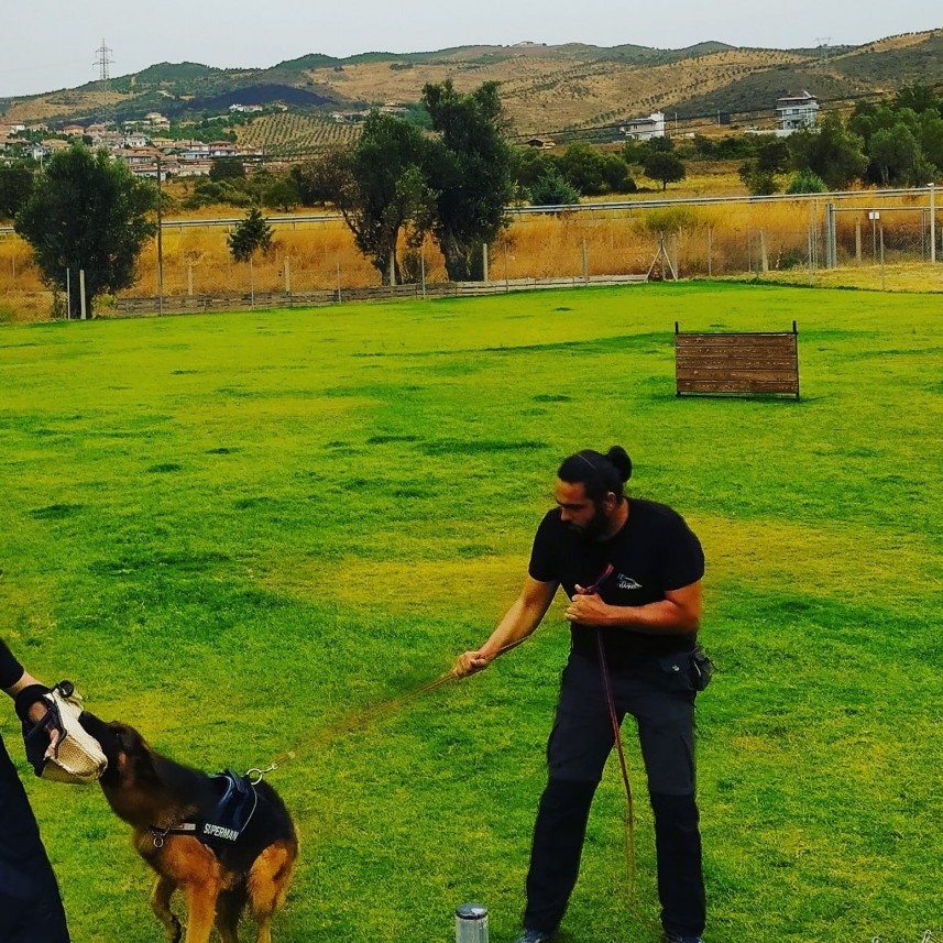 Grande Sole Dog Resort