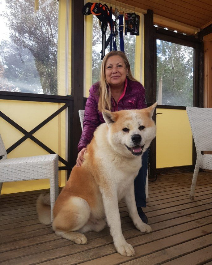 Grande Sole Dog Resort