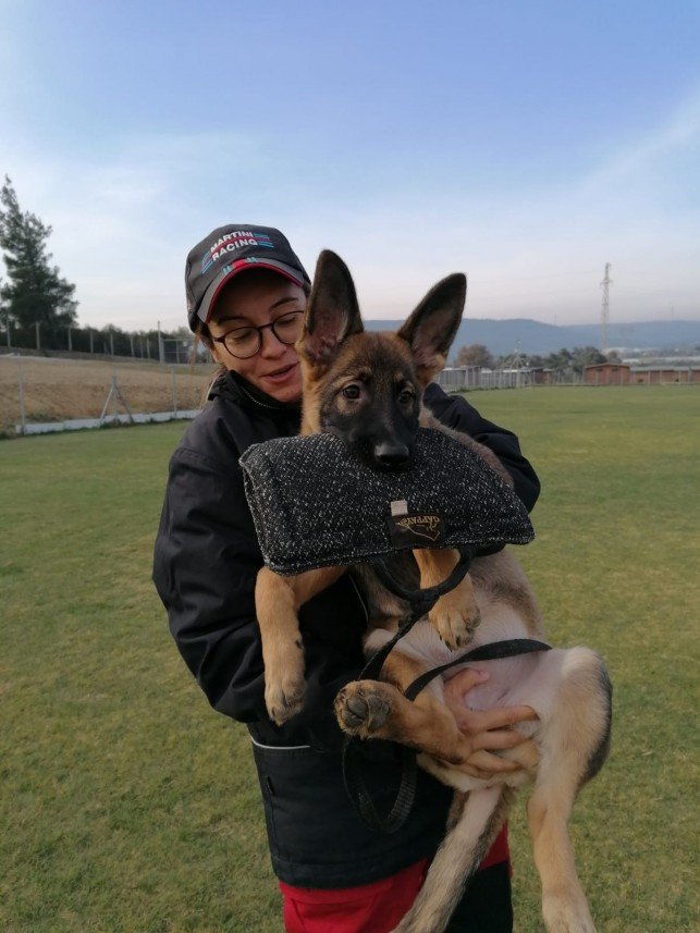 Grande Sole Dog Resort