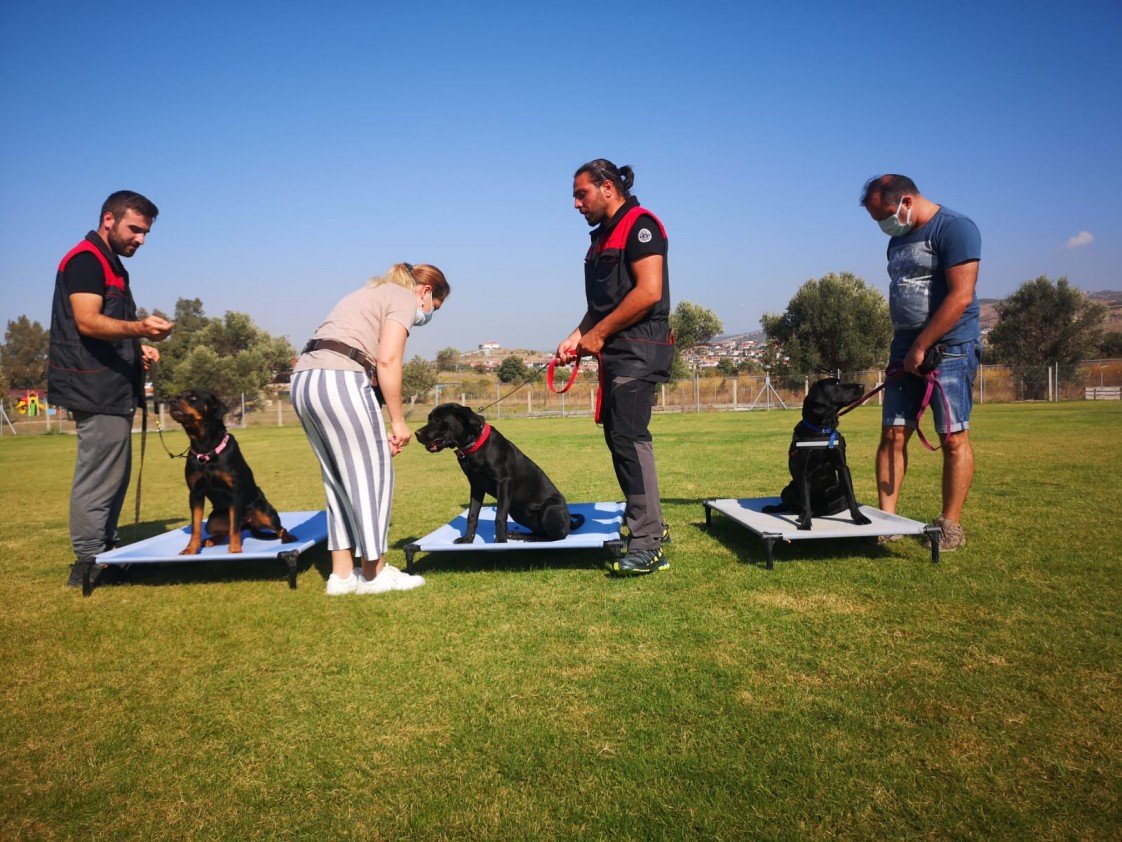 Grande Sole Dog Resort