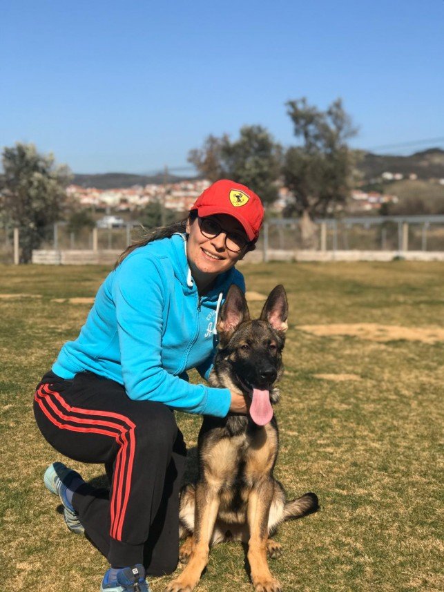 Grande Sole Dog Resort