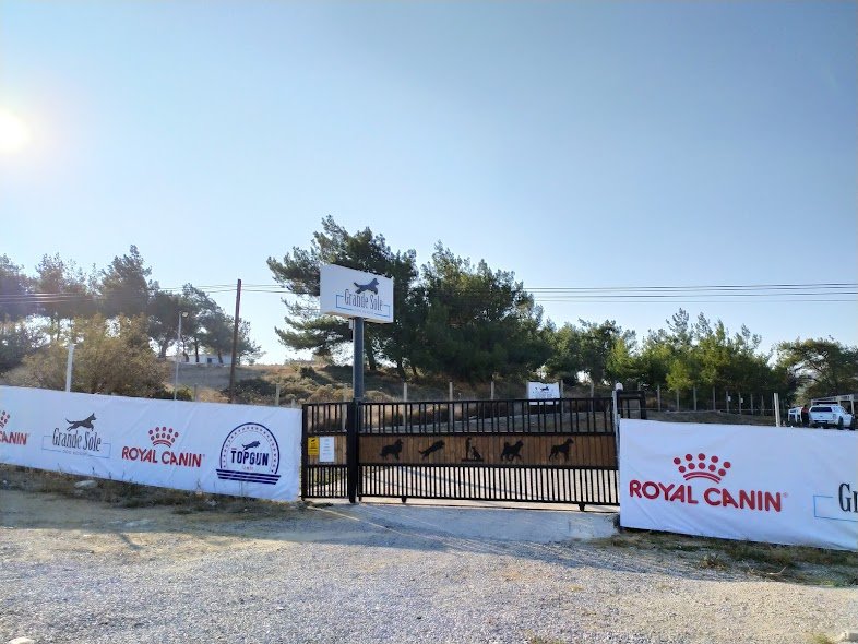 Grande Sole Dog Resort
