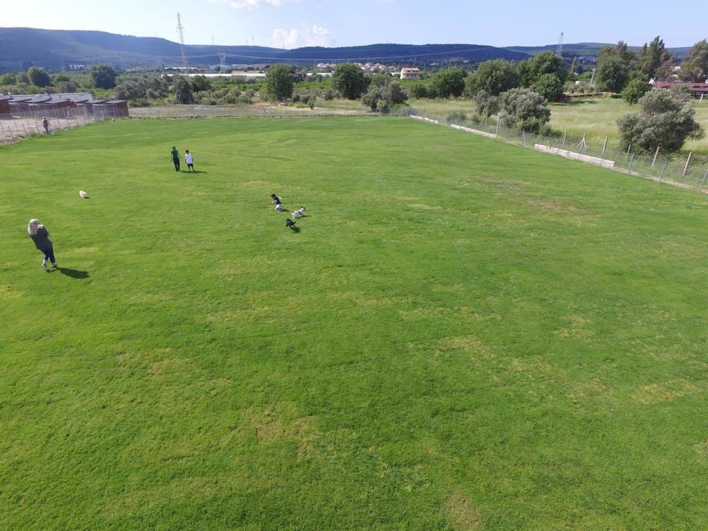 Grande Sole Dog Resort