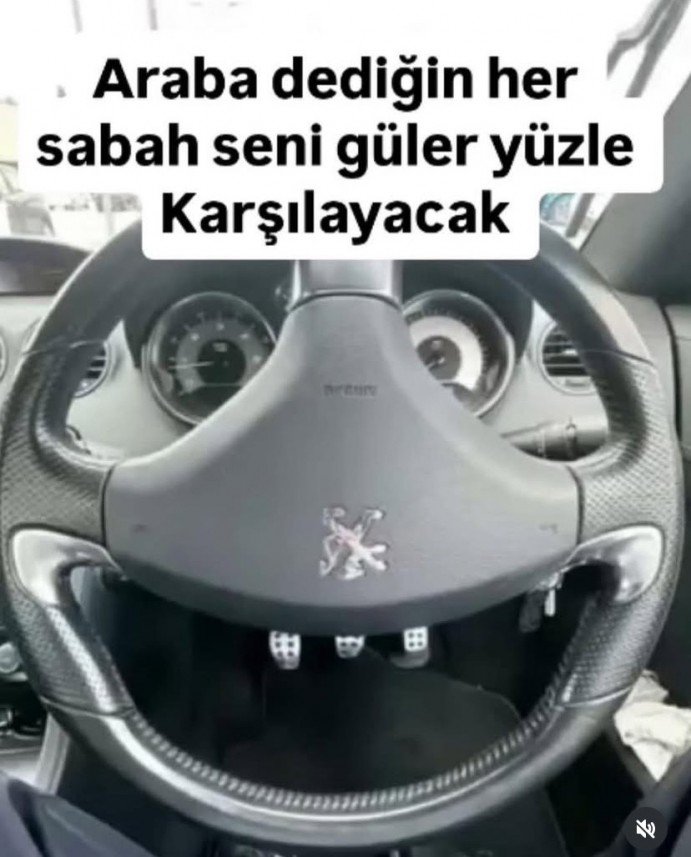 Gül İnci