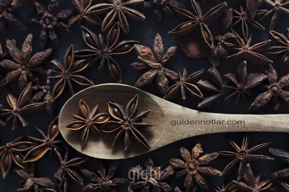 Gülen Bebe Fotoğrafçılık