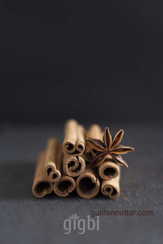 Gülen Bebe Fotoğrafçılık