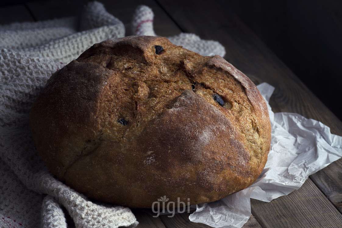 Gülen Bebe Fotoğrafçılık