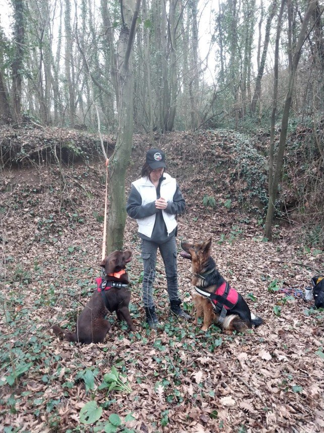 Pozitive Dog Training