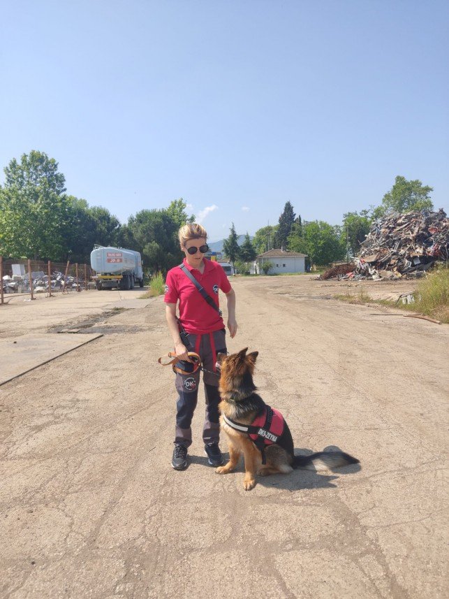 Pozitive Dog Training