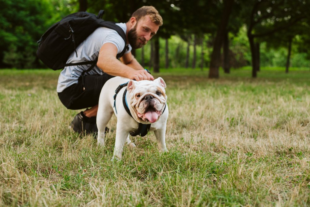 Güzelbahçe Dog Club 