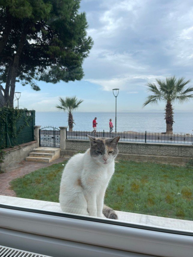 Hacer Nurşen Göçmen