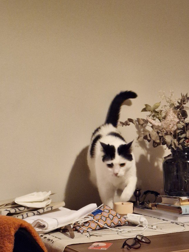 Hacer Nurşen Göçmen