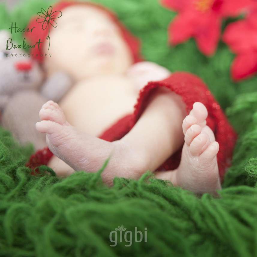 Hacer Bozkurt Photography