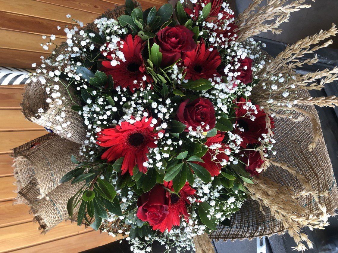 Haflinger Çiftliği