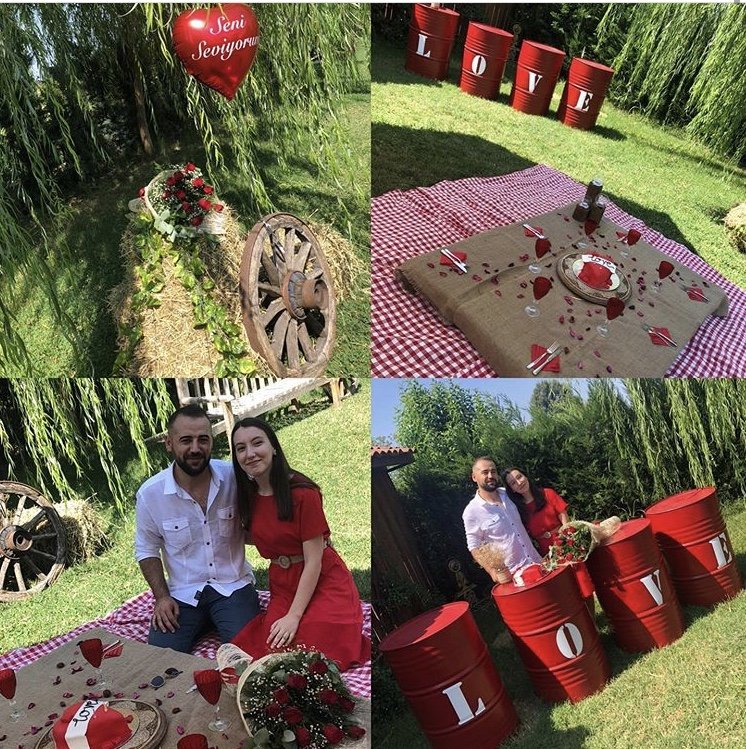 Haflinger Çiftliği