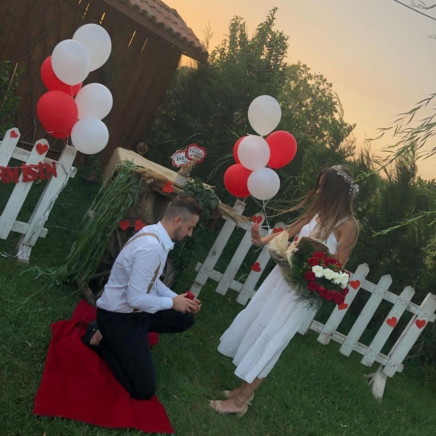 Haflinger Çiftliği