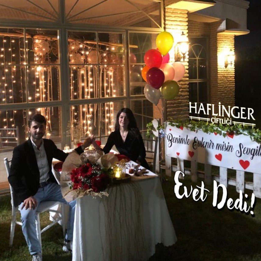 Haflinger Çiftliği