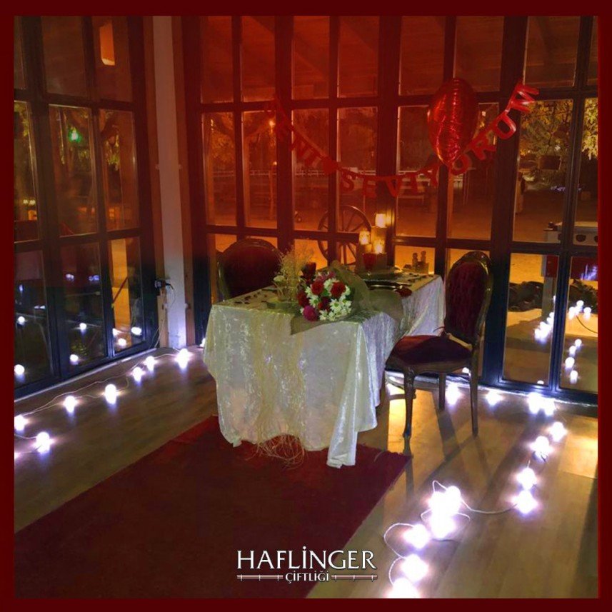 Haflinger Çiftliği