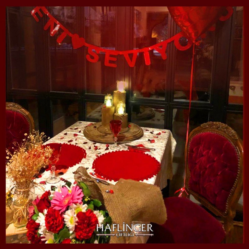 Haflinger Çiftliği