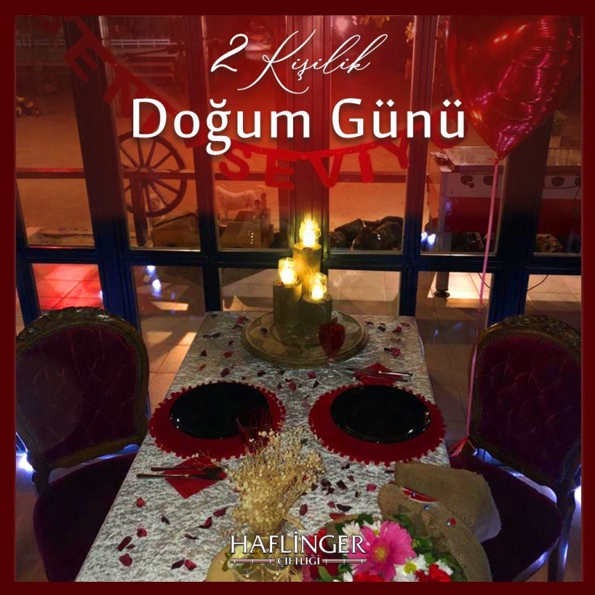 Haflinger Çiftliği