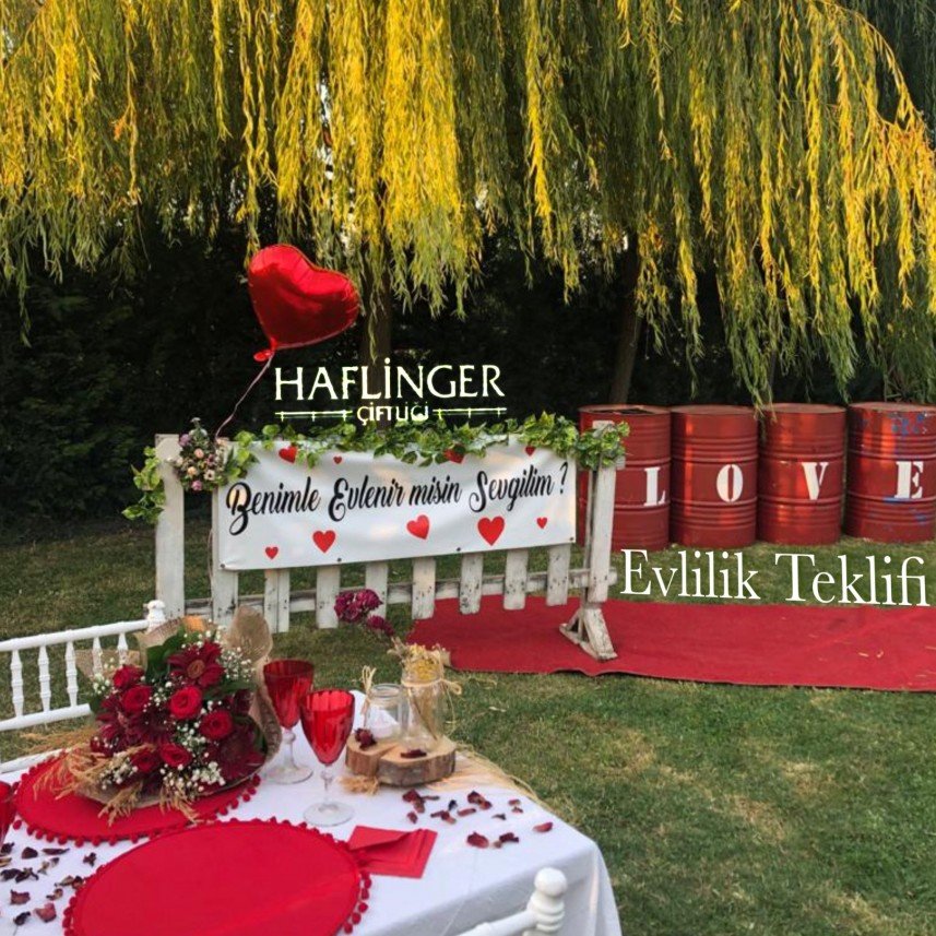 Haflinger Çiftliği