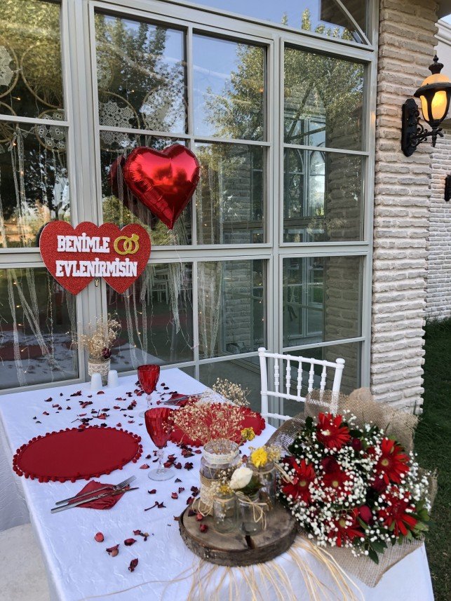 Haflinger Çiftliği