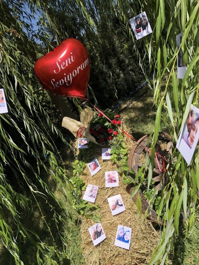 Haflinger Çiftliği