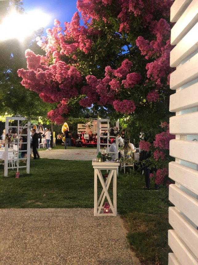 Haflinger Çiftliği