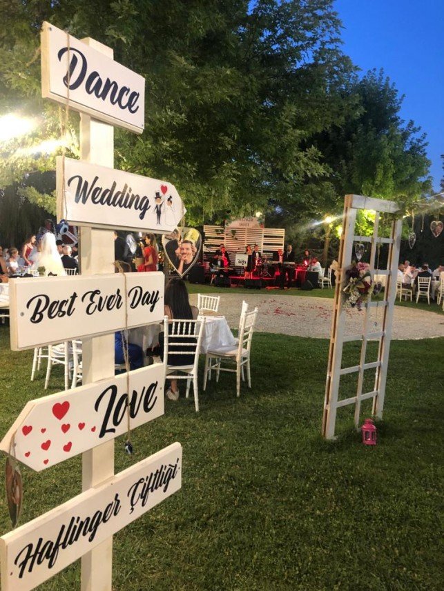 Haflinger Çiftliği