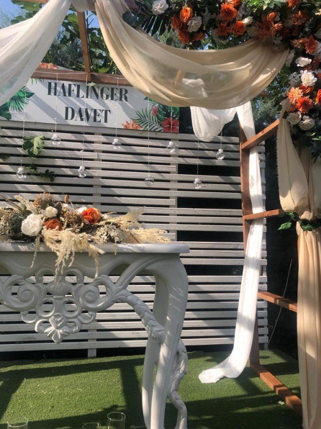 Haflinger Çiftliği