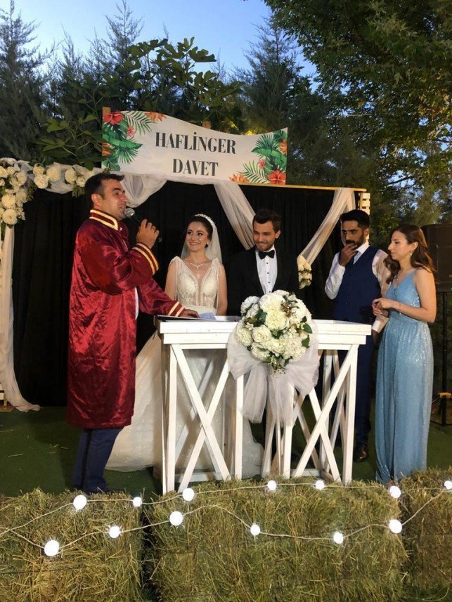 Haflinger Çiftliği