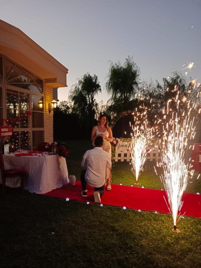 Haflinger Çiftliği