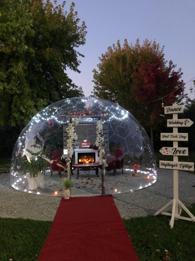 Haflinger Çiftliği