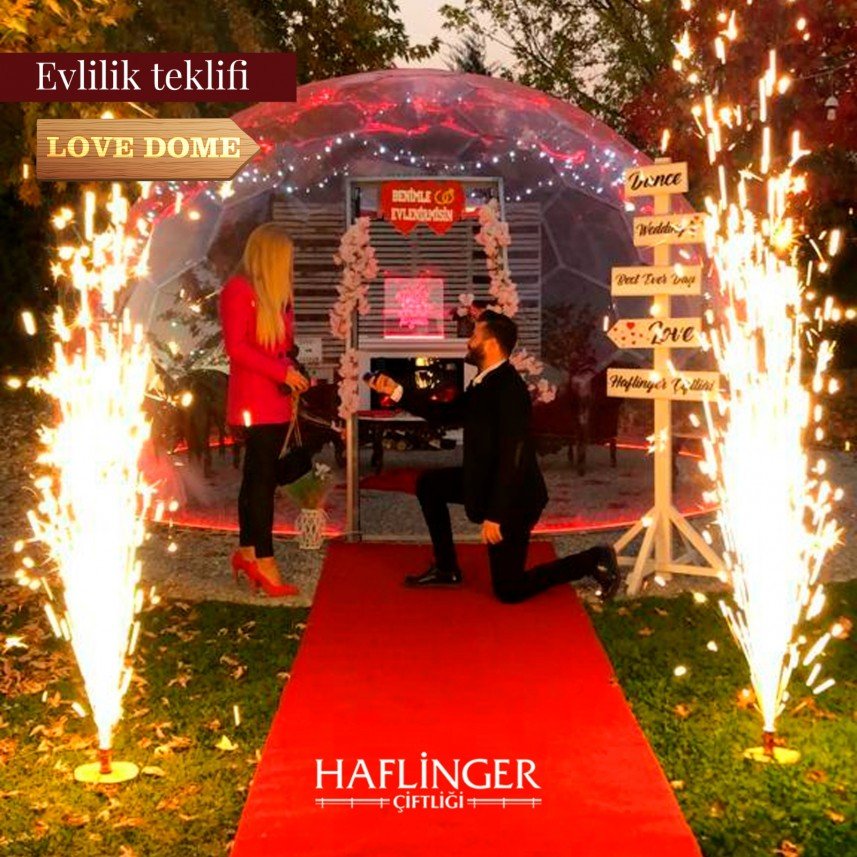 Haflinger Çiftliği