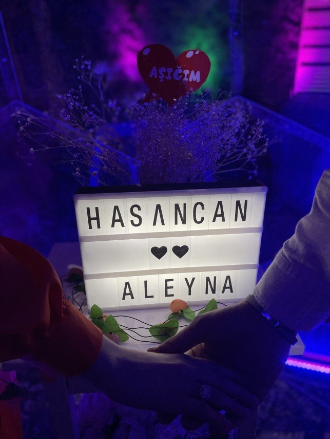 Haflinger Çiftliği