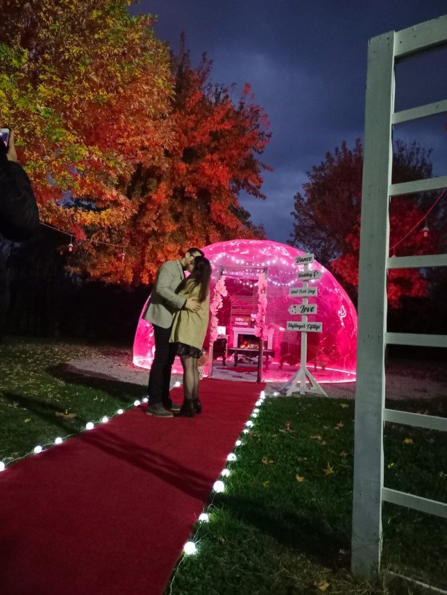 Haflinger Çiftliği