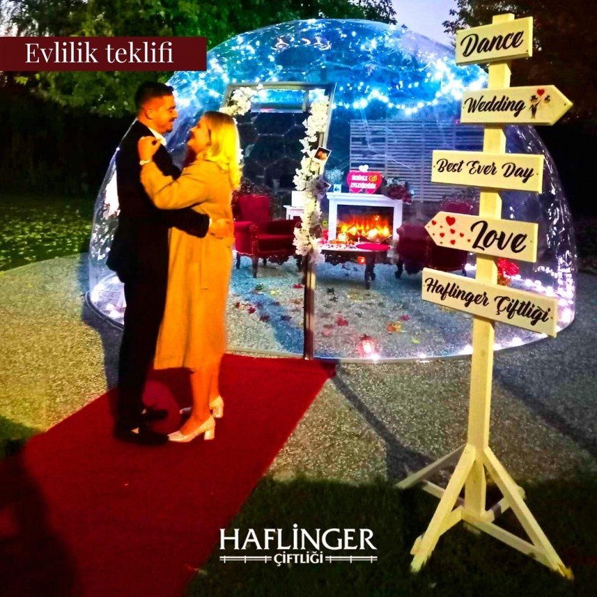 Haflinger Çiftliği