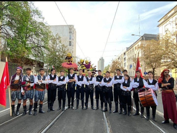 Hanedans Organizasyon