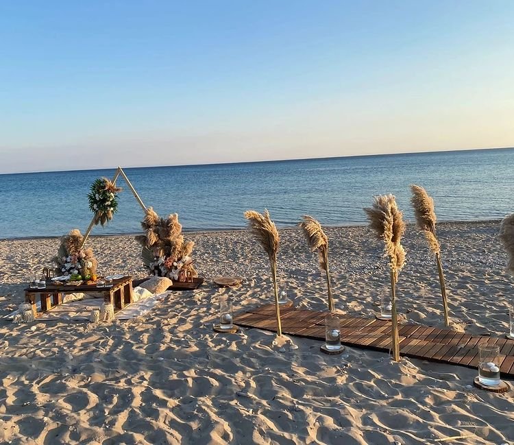 Hanımeli Organizasyon