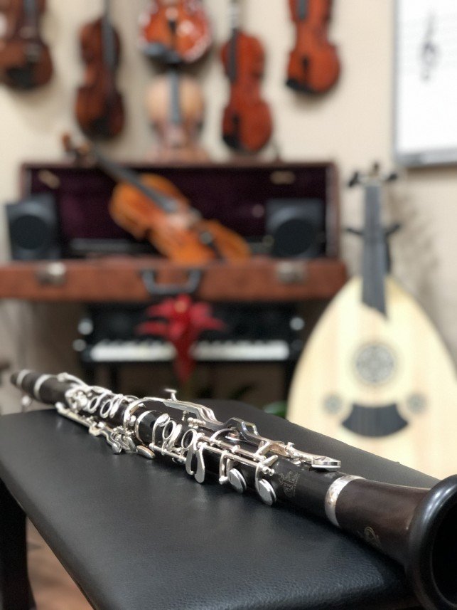 Hasan Selim Arıboğa