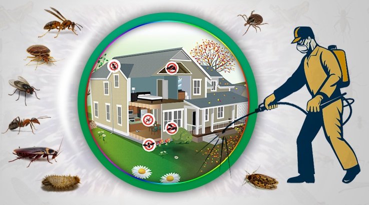 Haşere Kontrol Hizmetleri