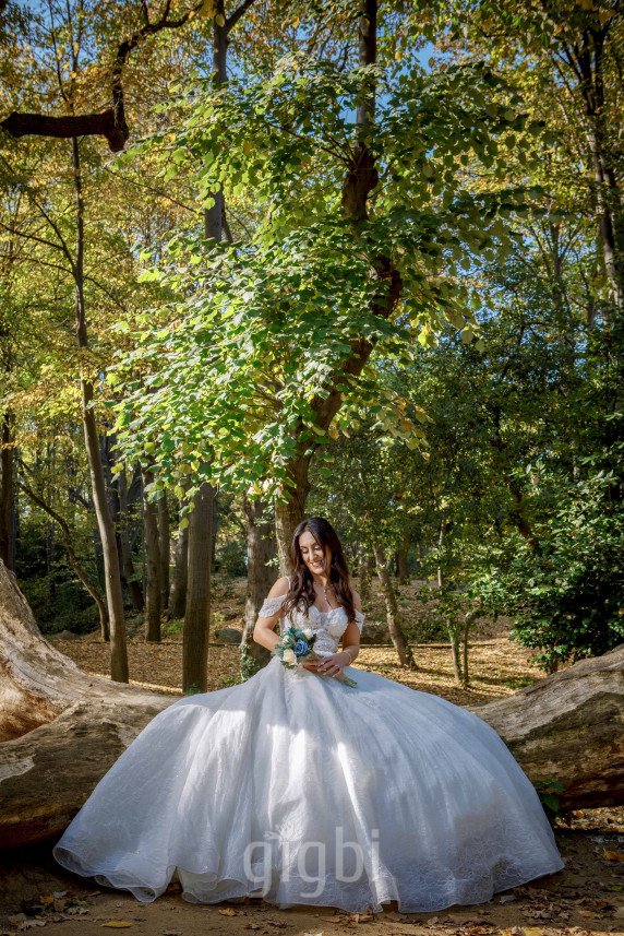 Hayal Dijital Yasin Anas