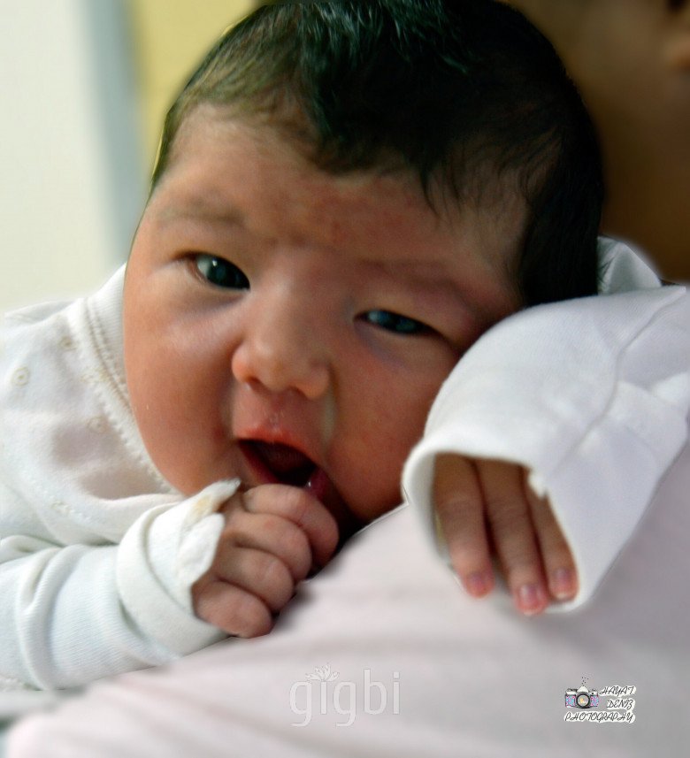 Hayat & Deniz Photography