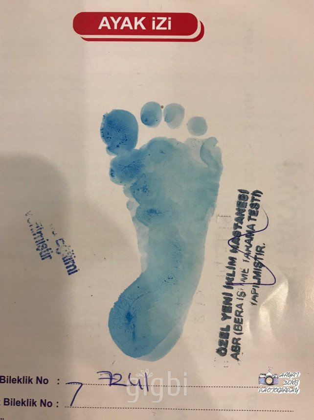 Hayat & Deniz Photography