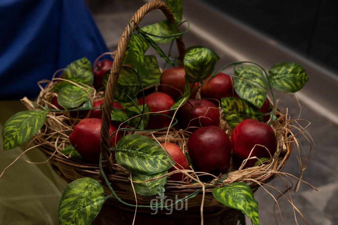 Helin Öner Photograpy