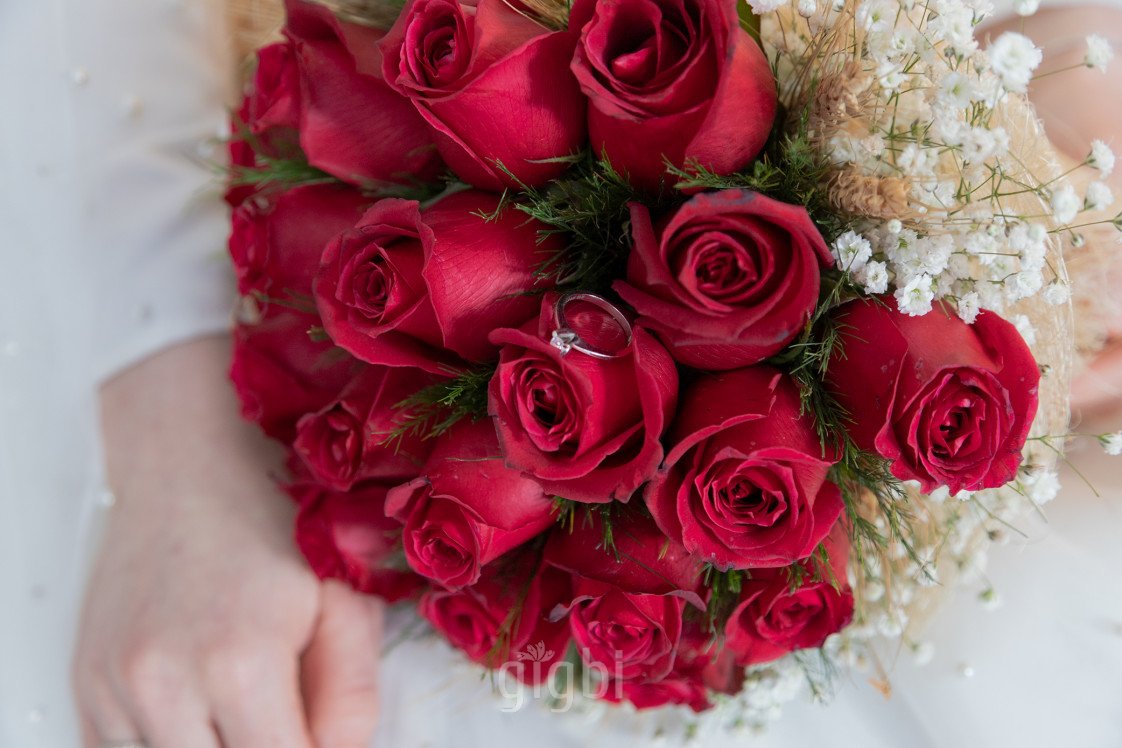 Helin Öner Photograpy