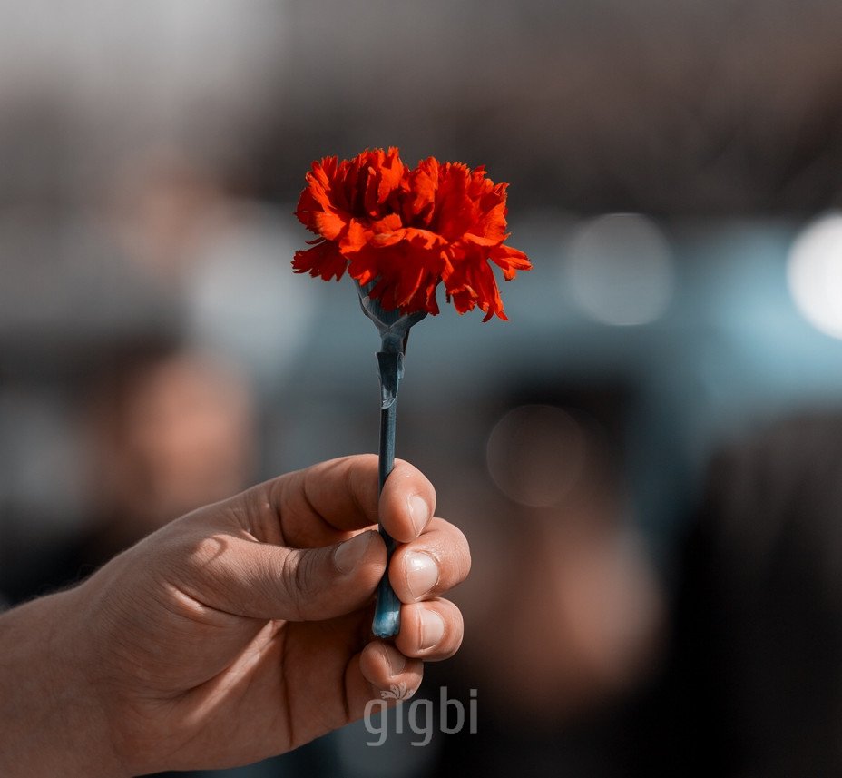 Helin Öner Photograpy