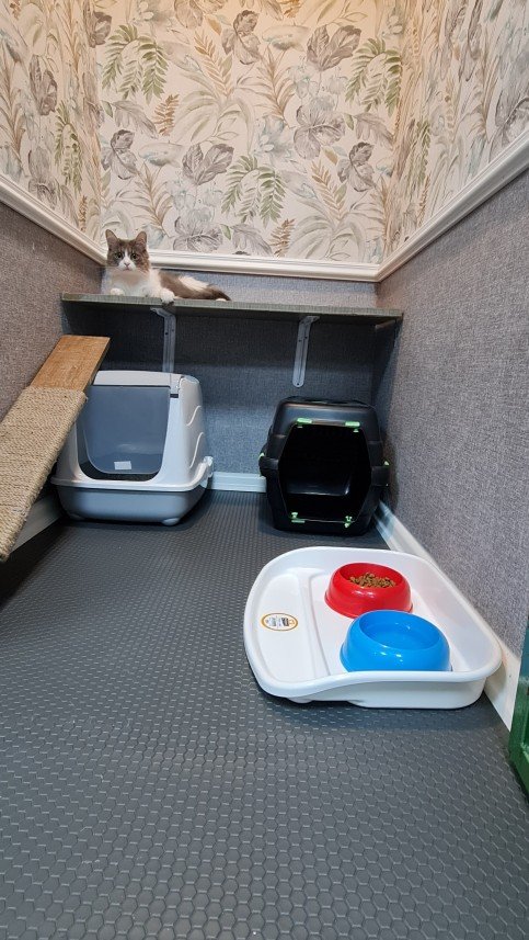 Hepsipatime Cats Hotel